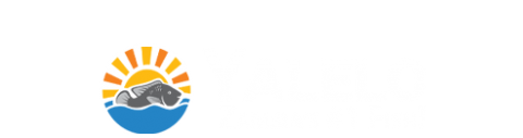 Yalelo