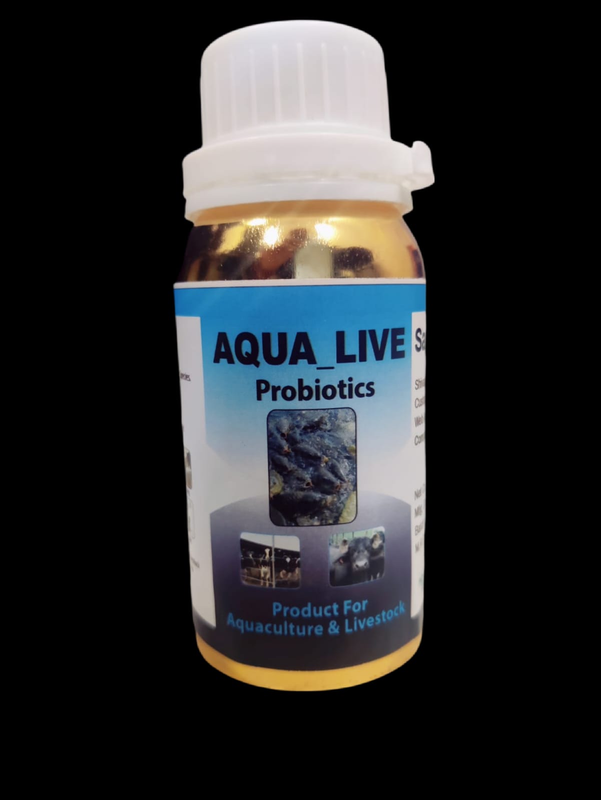 AquaLive