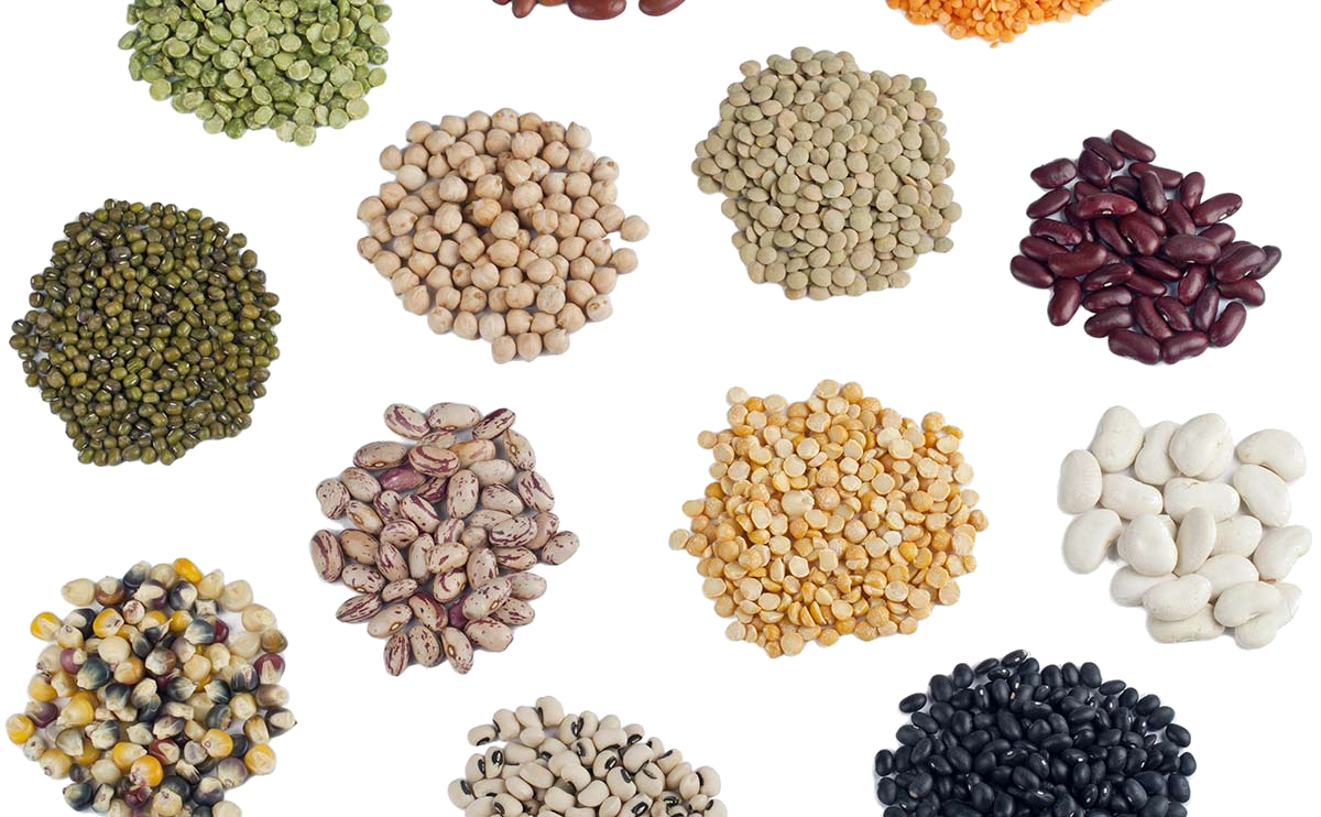 Seeds Selection